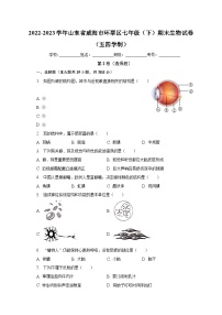 山东省威海市环翠区2022-2023学年七年级下学期期末生物试卷（含答案）