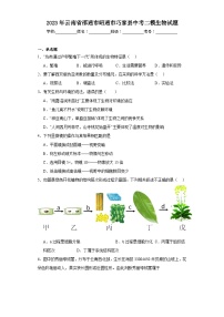 2023年云南省邵通市昭通市巧家县中考二模生物试题（含解析）