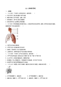 专题11 人体的呼吸（专题精练）-2023年中考生物一轮复习讲练测（原卷版）