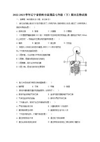 2022-2023学年辽宁省铁岭市昌图县七年级（下）期末生物试卷(含解析）