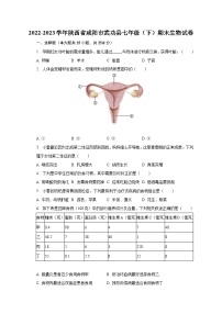 2022-2023学年陕西省咸阳市武功县七年级（下）期末生物试卷（含解析）