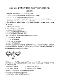 山东省聊城市阳谷县2022-2023学年七年级下学期期中生物试题