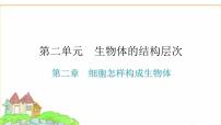 中考生物复习第二单元生物体的结构层次第二章细胞怎样构成生物体课件