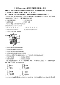 辽宁省鞍山市立山区2022-2023学年七年级下学期期中生物试题