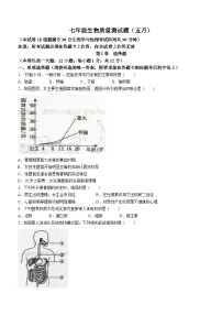 辽宁省鞍山市铁西区2022-2023学年七年级下学期期中生物试题