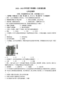 辽宁省沈阳市铁西区2022-2023学年七年级下学期期中生物试题