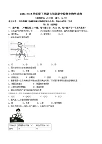 辽宁省葫芦岛市建昌县2022-2023学年七年级下学期期中生物试题