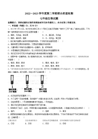 山东省枣庄市市中区2022-2023学年七年级下学期期中生物试题