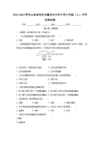 山东省枣庄市滕州市羊庄中学2023-2024学年八年级上学期开学生物试卷