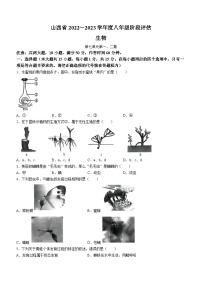 山西省运城市部分学校2022-2023学年八年级下学期期中生物试题(无答案)