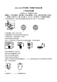 江苏省徐州市铜山区2022-2023学年八年级下学期期中生物试题(无答案)