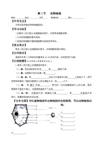 人教版 (新课标)七年级上册第三节 动物细胞学案