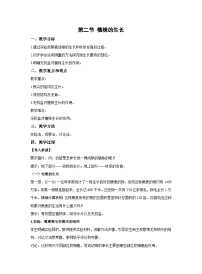 生物人教版 (新课标)第二节 植株的生长教案设计