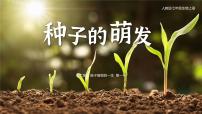 生物人教版 (新课标)第一节 种子的萌发优质课课件ppt