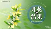 初中生物人教版 (新课标)七年级上册第三节 开花和结果优秀课件ppt