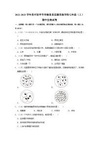 贵州省毕节市赫章县思源实验学校2022-2023学年七年级上学期期中生物学试卷