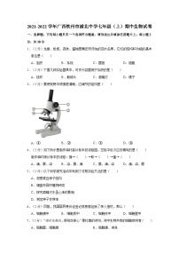 广西钦州市浦北县浦北中学2021-2022学年七年级上学期期中生物试卷