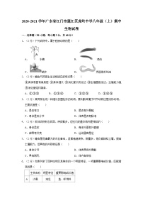 广东省江门市蓬江区虎岭中学2020-2021学年八年级上学期期中生物试卷