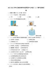 云南省普洱市思茅四中2021-2022学年七年级上学期期中生物试卷