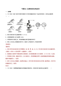 2022年中考生物真题分项汇编专题02 生物体的结构层次（含解析）