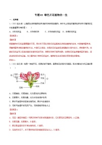 2022年中考生物真题分项汇编专题03 绿色开花植物的一生（含解析）