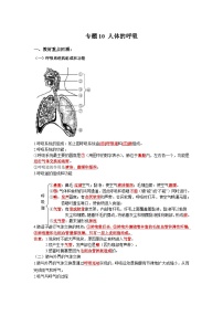 中考生物一轮复习考点梳理与过关练习专题10 人体的呼吸（含解析）