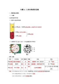 中考生物一轮复习考点梳理与过关练习专题11 人体内物质的运输（含解析）