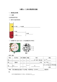 中考生物一轮复习考点梳理与过关练习专题11 人体内物质的运输（原卷版）