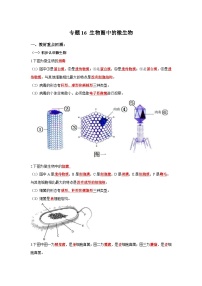 中考生物一轮复习考点梳理与过关练习专题16 生物圈中的微生物（含解析）