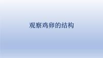 中考生物二轮复习实验突破课件：观察鸡卵的结构（含答案）
