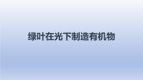 中考生物二轮复习实验突破课件：绿叶在光下制造有机物（含答案）