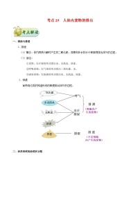 中考生物一轮复习巩固训练考点25 人体内废物的排出（含解析）