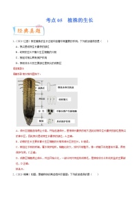 中考生物一轮复习微专题集训考点05 植株的生长（含解析）