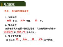 中考生物一轮复习课件7.2动、植物的生殖和发育（含答案）