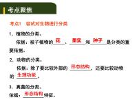 中考生物一轮复习课件8.1根据生物的特征进行分类（含答案）