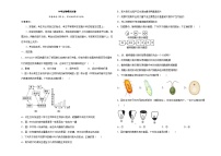 中考生物模拟试卷六 (原卷版+解析版)