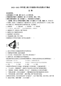四川省泸州市龙马潭区2022-2023学年八年级上学期期末生物试题