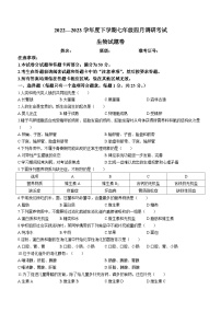 湖北省黄石市黄石港区2022-2023学年七年级下学期期中生物试题