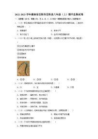 湖南省岳阳市岳阳县2022-2023学年八年级上学期期中生物试卷