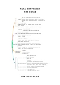 【期中单元知识点归纳】（人教版）2023-2024学年八年级生物上册 第四章 细菌和真菌 讲义