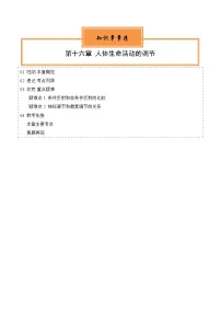 【期中单元知识点归纳】 （苏教版）2023-2024学年八年级生物上册 第十六章 人体生命活动的调节 讲义