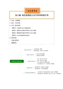 【期中单元知识点归纳】（苏教版）2023-2024学年七年级生物上册 第六章 绿色植物的光合作用和呼吸作用 讲义