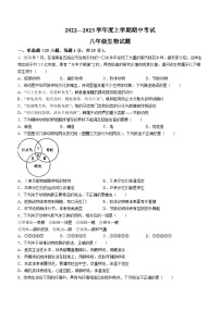 江西省抚州市东乡区2022-2023学年八年级上学期期中生物试题