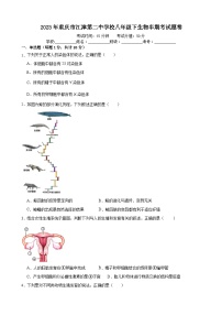 重庆市江津第二中学校2022--2023学年八年级下学期期中生物试卷