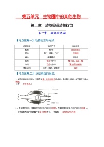 考点03  动物的运动和行为、动物在生物圈中的作用 中考生物 知识点复习（人教版）