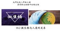 北师大版八年级上册第2节  微生物与人类的关系备课ppt课件