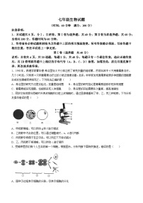 87，山东省诸城市2022-2023学年七年级下学期开学考试生物试题(无答案)