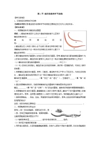 人教版 (新课标)八年级上册第二节 线形动物和环节动物学案设计