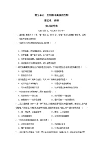 【期中单元测试卷】（人教版）2023-2024学年八年级生物上册 第五章+病毒【提升卷】