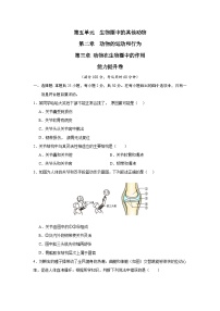 【期中单元测试卷】（人教版）2023-2024学年八年级生物上册 第二、三章+动物的运动和行为、动物在生物圈中的作用【提升卷】